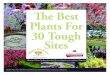 The Best Plants for 30 Tough Sites - University of Minnesota