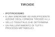Tiroide   Tireotossicosi   Nodulo   Ipotiroidismo