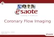 Coronary flow imaging