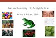 Neuropharmacology: Acetylcholine & Alzheimer's