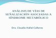 Análisis de vías de señalización asociadas a síndrome metabólico