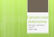 Canalicular adenoma