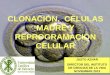 Clonación células madre y reprogramación celular