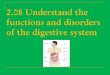 2.08 understand the_functions_and_disorders_of_the_digestive_system