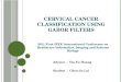 Cervical cancer classification using gabor filters 1026