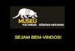 O Museu de Ciências Naturais PUC Minas - apresentação para professores