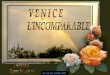 Venice Lincomparable