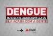 Apresentação Campanha Dengue - 2014