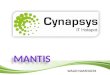 PRESENTATION CYN APSYS/MANTIS