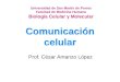 Comunicacion Celular Amanzo