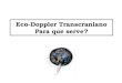 Eco-doppler Trans Crania No Patologia Apont Alunos