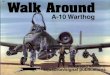 [Walk Around n°17] - A-10 Warthog