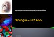 Biologia – 12º Ano o