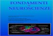 Fondamenti di Neuroscienze - Capitolo02