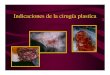 Indicaciones Cirugia Plastica y a Veterinaria