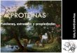 Proteínas I: funciones, estructura primaria. Coila P. FMVZ-UNA-Puno