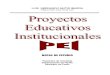 Proyectos Educativos Institucionales -PEI