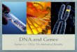 DNA and Genes Presentation - Biology Chapter 11