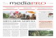 Media Pro 1