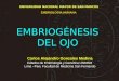 Embriologia Del OJO Carlos Gonzales Medina UNMSM