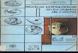 Técnicas Prehispánicas en los Objetos de Concha
