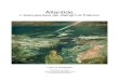 Atlantide - l'isola perduta di Platone (eBook gratis ita da Wikipedia)