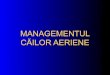 39653554 Management Cai Aeriene