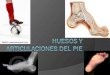 Huesos y Articulaciones Del Pie(2)
