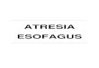 Atresia Esofagus (Kelainan kongenital esofagus)