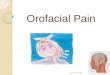 orofacial pain ( final)