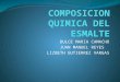 Composicion Quimica Del Esmalte