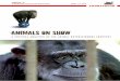 SAFE Education Resource: Issue 3: Animals on Show