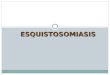 ESQUISTOSOMIASIS 2
