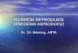 Hormon Reproduksi (Endokrin Reproduksi