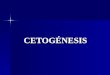 cetogenesis 2