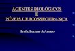 biossegurança - risco biologico e NBS