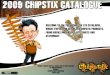Chipstix LTD 2009 Catalogue