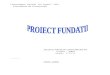 proiect fundatii