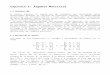 Álgebra Matricial (parte I)