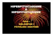 Patologi Anatomi Slide Hiperpituitarisme Hipopituitarisme