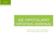 Eje Hipotalamo Hipofisis Adrenal Sistema Renina Angiotensina Aldosterona