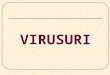 caractere generale - virusuri