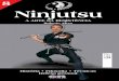 Ninjutsu - A arte da resistência