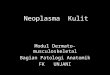Neoplasma  Kulit