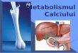 Metabolismul Calciului