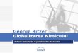 Globalizarea Nimicului G Ritzer