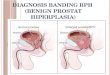 Diagnosis Banding BPH Ppt