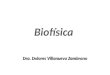 Biofisica Intro 2010