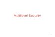 Multilevel Security
