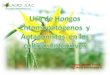 Uso de Hongos Entomopatogenos y Antagonist As en Los Cultivos Intensivos